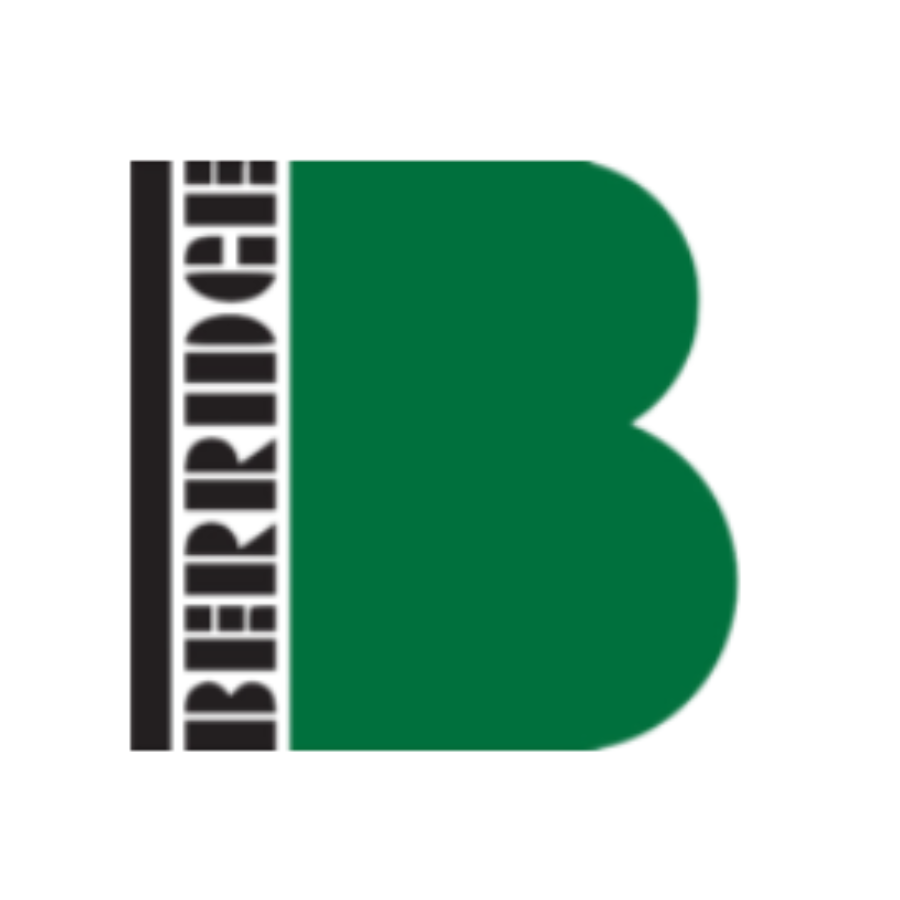 Logo berridge